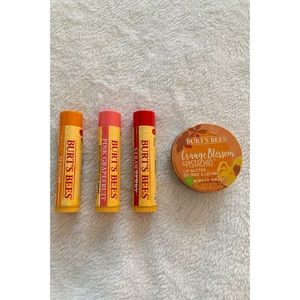 BURT’S BEES Brand New chapstick bundle- FREE GIFT